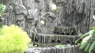 The sound of water in the garden