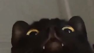 Morning Surprise | "Waking Up and Seeing This" - Unbelievable Morning Moments | FunFM