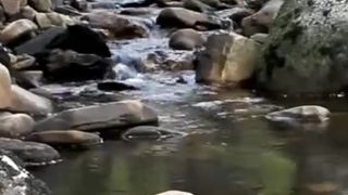 the sound of river water is soothing