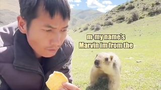 Cool Cat Chronicles | "Marvin's a Cool Guy" - Adventures in Awesome | FunFM