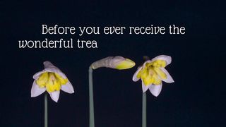 Quotes of the day #50