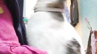 Moment cute cat