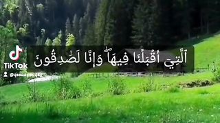 سورة يوسف 2