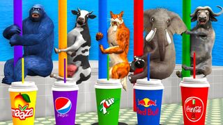 Choose Right Drink with Elephant Gorilla Cow Lion Dinosaur Wild Animals Games Fountain Crossing Game 3