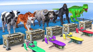Cow Mammoth Elephant Lion Gorilla Tiger Choose the Right Gift Box Race Wild Animals Tire Game