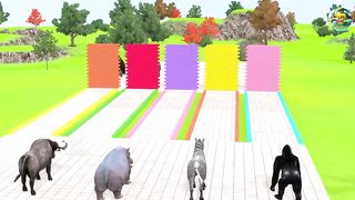 animasi binatang warna warni,