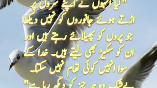 Surah Mulk | Quran Quotes