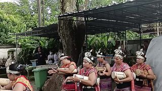 Tari Likurai. Tari Penyambutan dari NTT