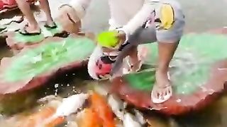 Kecebur di kolam ikan Bedugul Bali