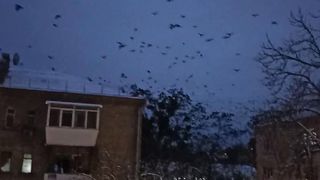 Наблюдение за погодой