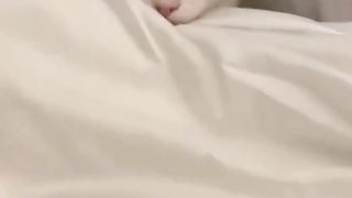 FUNNY CATS MEMES COMPILATION 4
