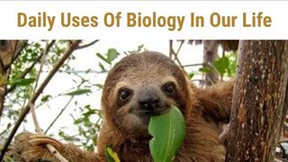 what is the scope of Biology?#biology #Information #knowledge #easy #Understand
