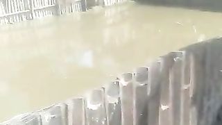 Budidaya ikan lele sistem jaring, simple dan mudah