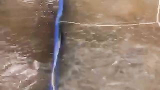 Satu baris kolam dengan warna air kolam yang berbeda