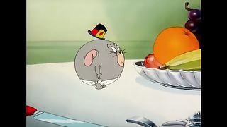 cat and mouse