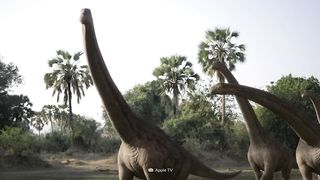 Como era a Terra na era dos insects_ gigantes