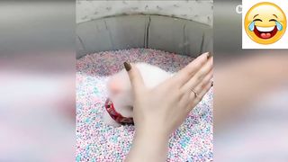 New Funny 4