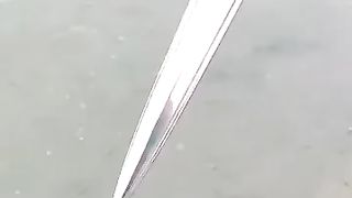 Sword