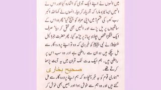 اسلامی معلومات 800