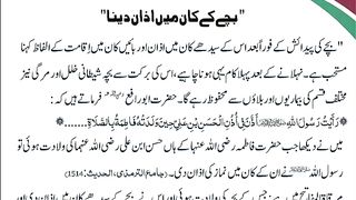 اسلامی معلومات 801