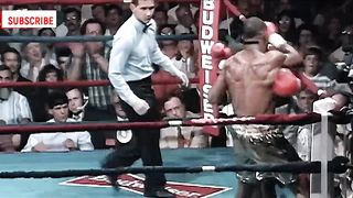 Roy Jones - Best FIGHT!