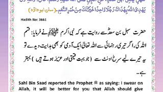 اسلامی معلومات 813