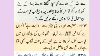 اسلامی معلومات 814