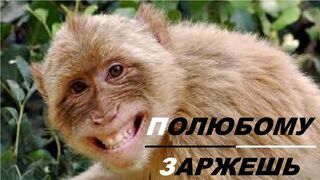РЖАКА-ТЕСТ-НА-ПСИХИКУ-ПОПРОБОЙ-НЕ-ЗАСМЕЯ_104.