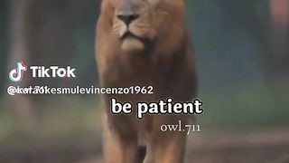 magnifique vidéo 2