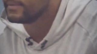 Царь зверей