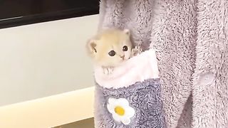 Cute..