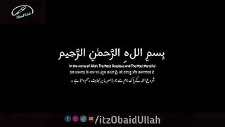 Tariq jameel 131