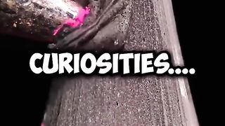 Insane Shower Thoughts...