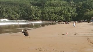 Pantai gemah tulung agung