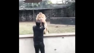 Animals Reunited with Owners After Years!
