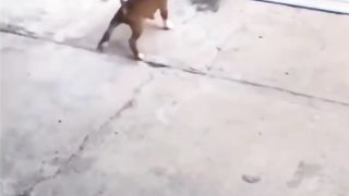 Funny