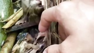 Funny videos 438