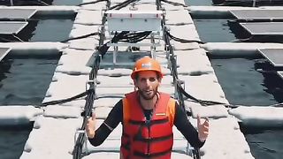 Solar plates on sea