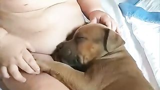 Adorable Baby Touches Sleepy Puppy as It Lays in His Lap