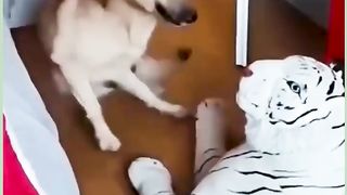 FUNNY 30