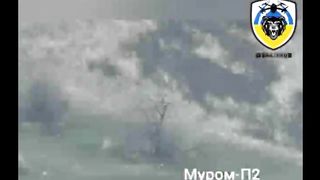 Ukraine Russia War | FPV Drone Targets Murom P System on Tree | RCF