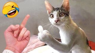 Самые-смешные-животные-Приколы-с-котами-_134.