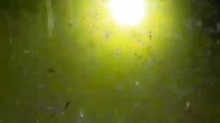 Kapan waktu SORTIR ikan lele❓Semoga video ini banyak ditonton PEMULA agar faham kapan SORTIR IKAN LELE