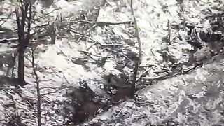 Ukraine Russia War | FPV Drone Survival: Russian Soldier vs. Shovel | 92nd Brigade | RCF