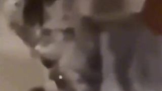 Приколи 551