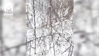 Ukraine Russia War | Russian Border Guards Aid Fleeing Kharkov Resident | RCF