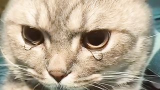 Everyone soul will taste of death????
