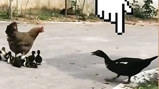Funny