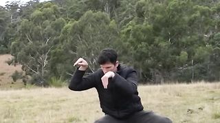 How Different Animals Fight