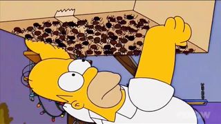 Homer Simpson